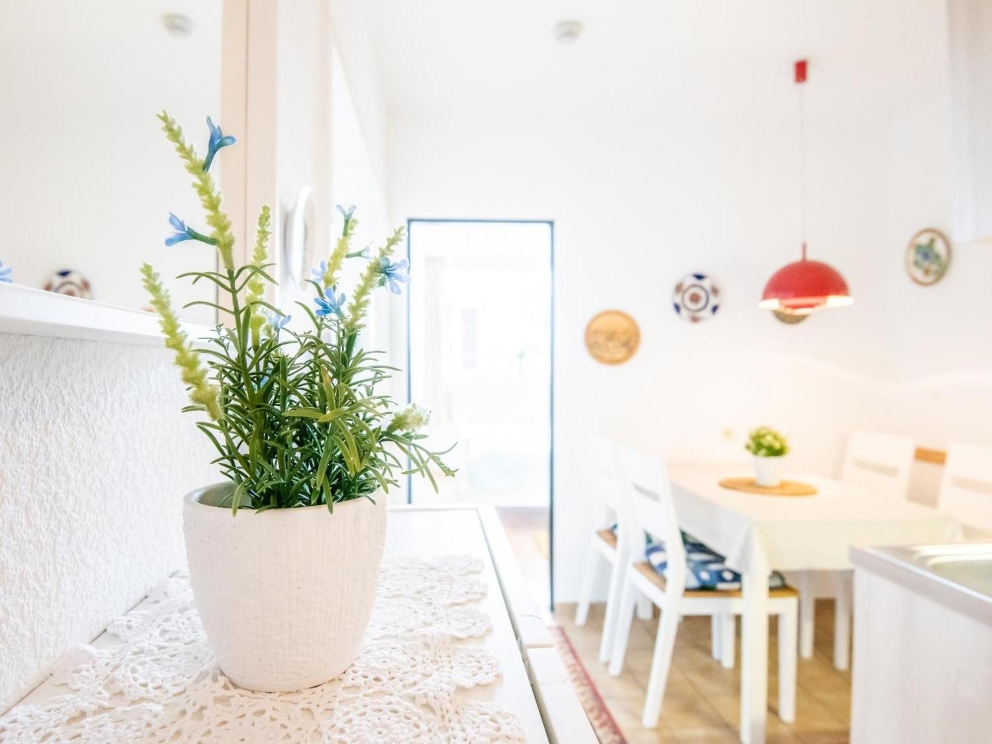Haus Meeresblick Wohnung 24 Kellenhusen Extérieur photo